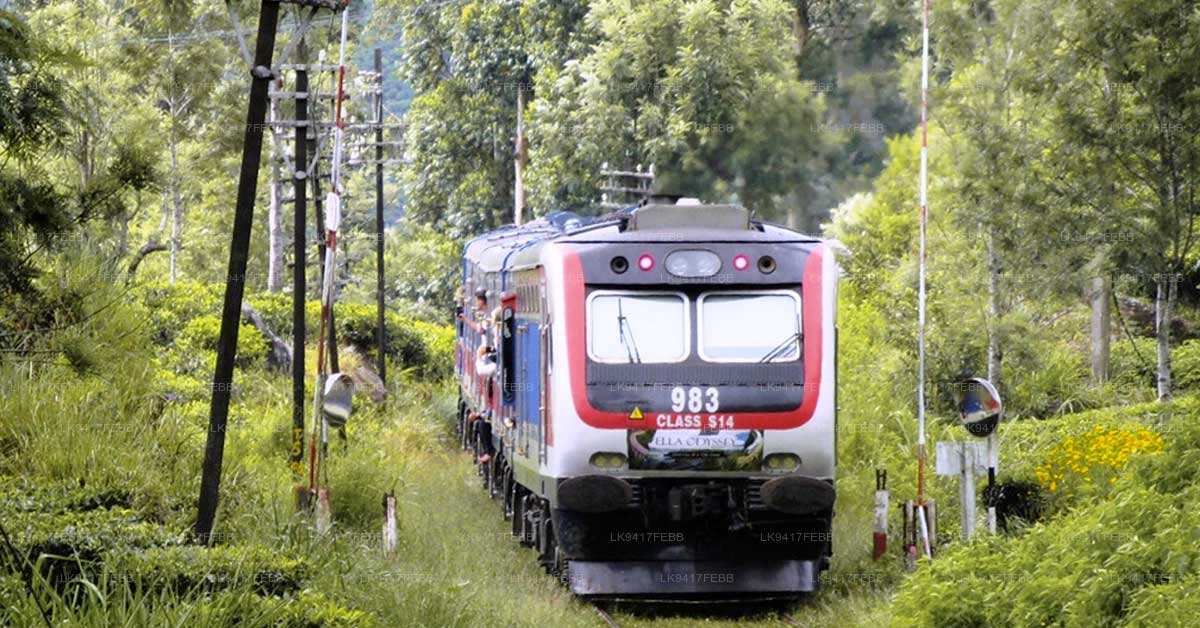 Two Additional Journeys for Ella Odyssey Train